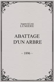 Abattage d'un arbre