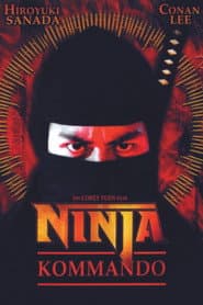 Ninjas en la tierra del dragón