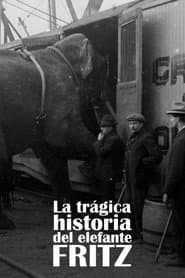 La trágica historia de Fritz el elefante