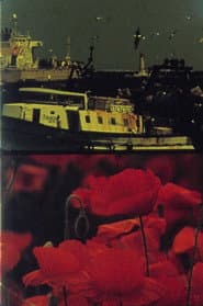 Voiliers et Coquelicots