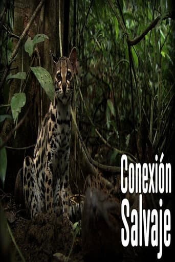 Conexion Salvaje