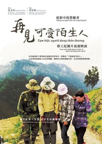 再見,可愛陌生人
