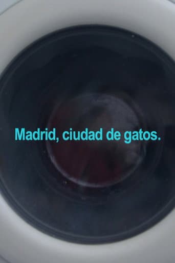 Madrid, ciudad de gatos