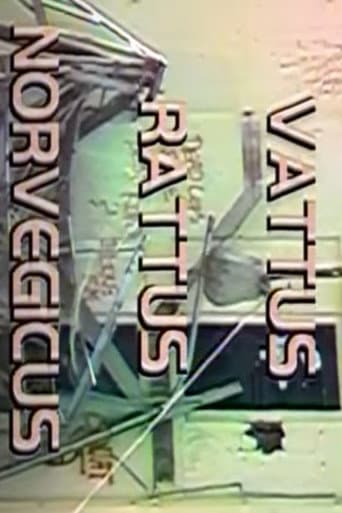 Vattus Rattus Norvegicus