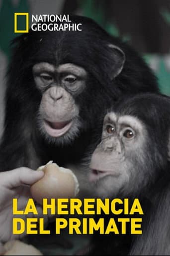 La herencia del primate