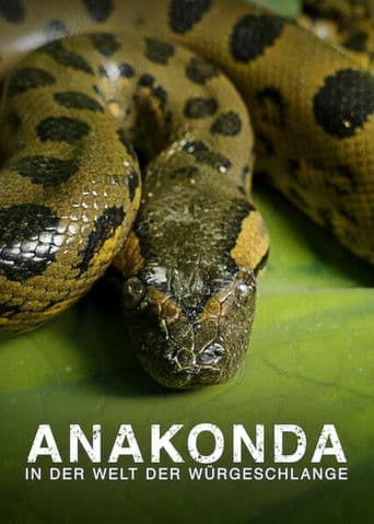 Anaconda: Asesino sigiloso