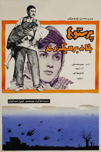 پرستوها به لانه برمیگردند
