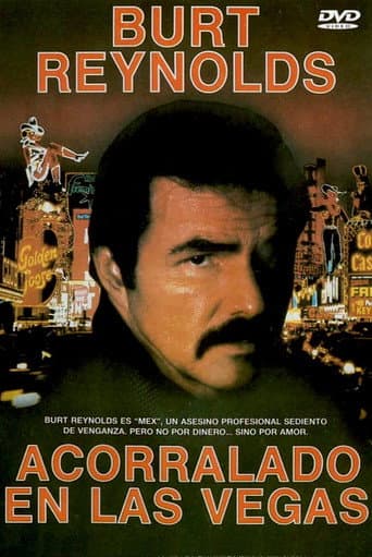 Acorralado en Las Vegas