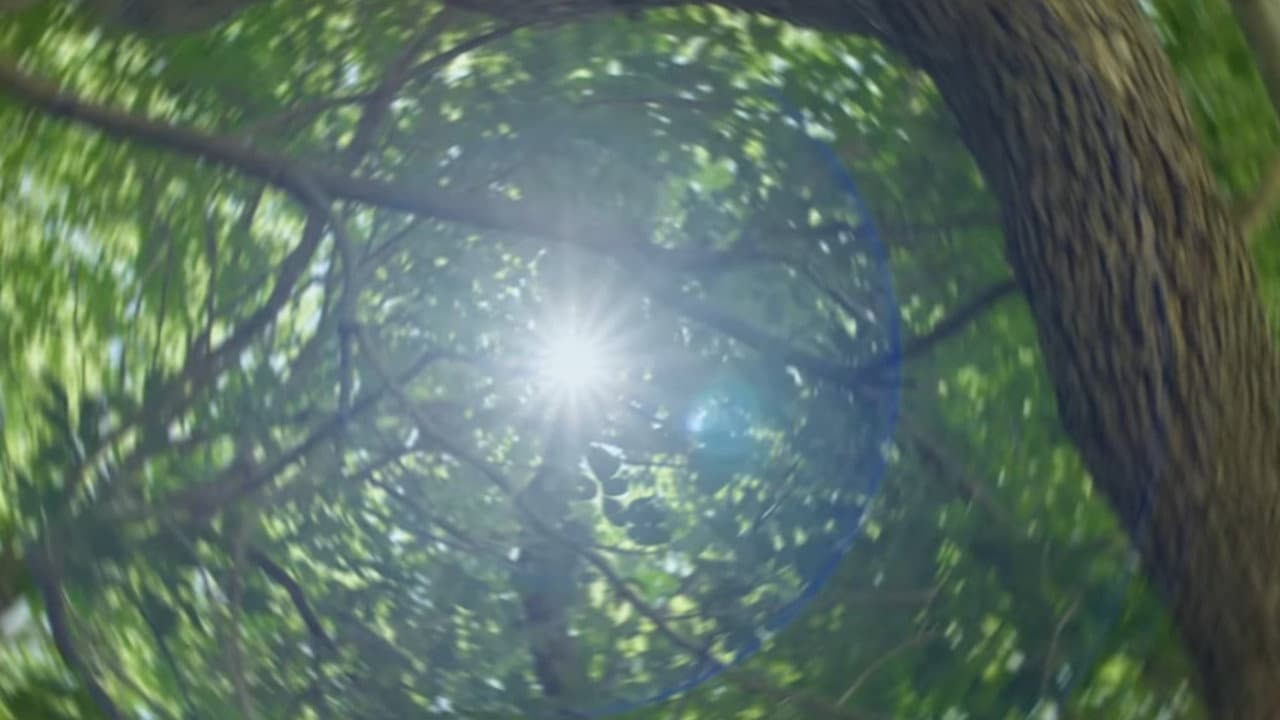 Avenoir