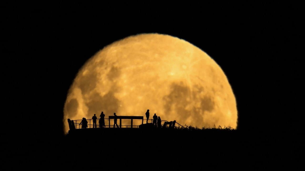 Fascinados por la luna