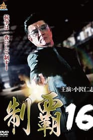 制覇16