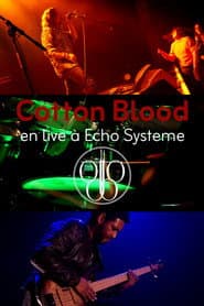 Cotton Blood : Somebody Better
