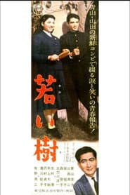 若い樹