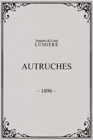 Autruches