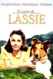 El coraje de Lassie