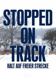 Stopped on track