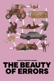 The Beauty of Errors - Kappale kauneinta Suomea