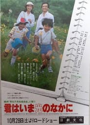 難病「再生不良貧血性」と闘う 君はいま光のなかに