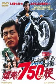 爆発!750cc族