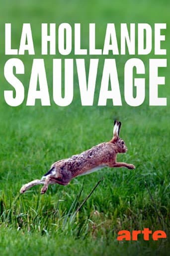 La Hollande sauvage - La faune des polders